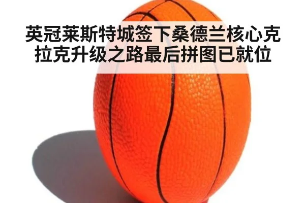 英冠莱斯特城签下桑德兰核心克拉克升级之路最后拼图已就位
